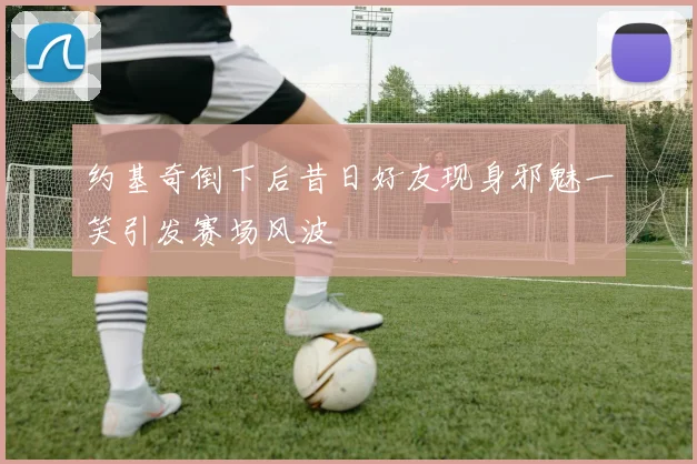 约基奇倒下后昔日好友现身邪魅一笑引发赛场风波